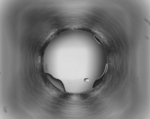 X0000096440308200801241124