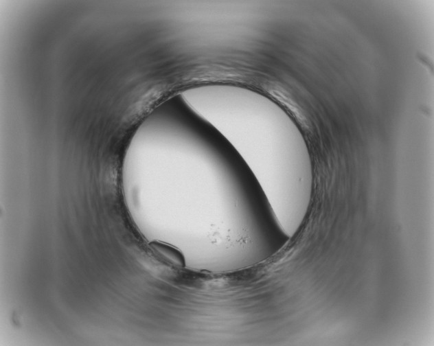 X0000096440309200801241124
