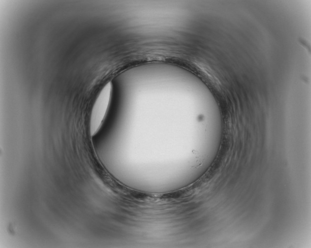 X0000096440311200801241124