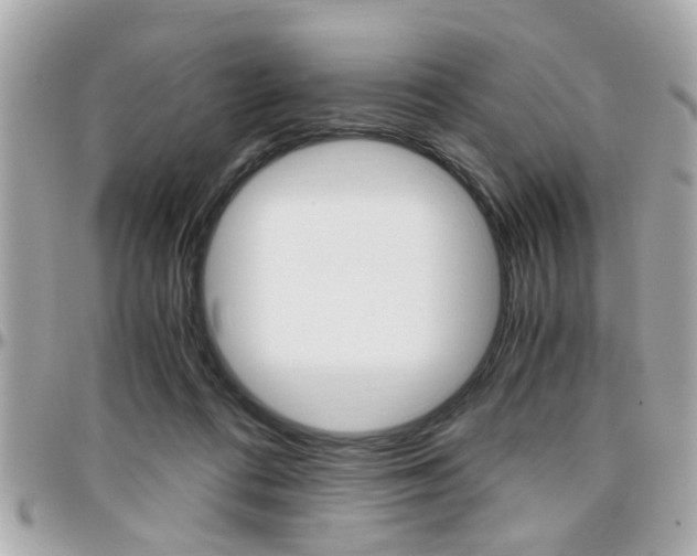 X0000096440312200801241124