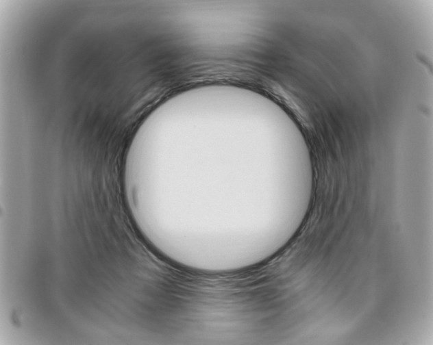 X0000096440313200801241124