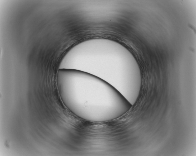 X0000096440314200801241124