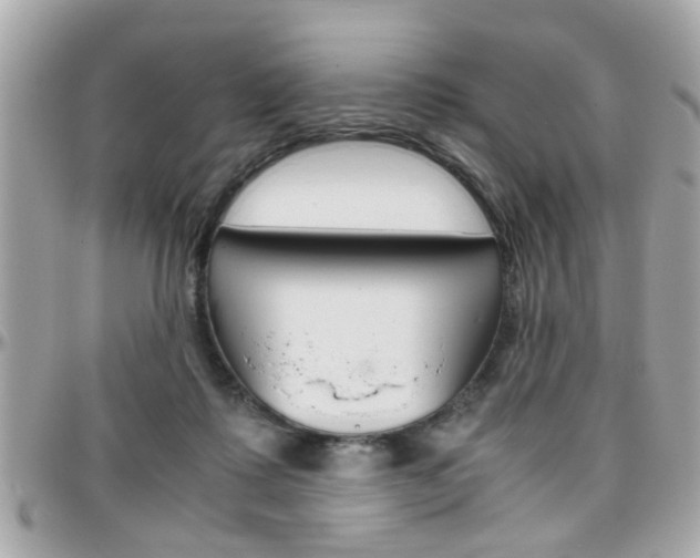 X0000096440315200801241124