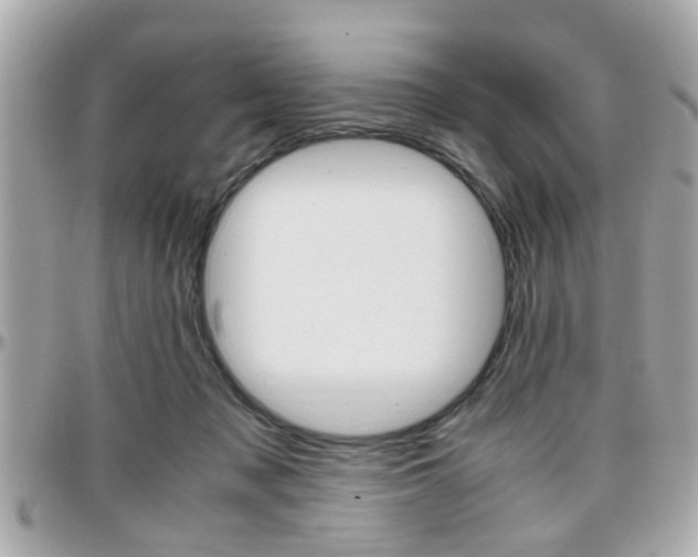 X0000096440317200801241123