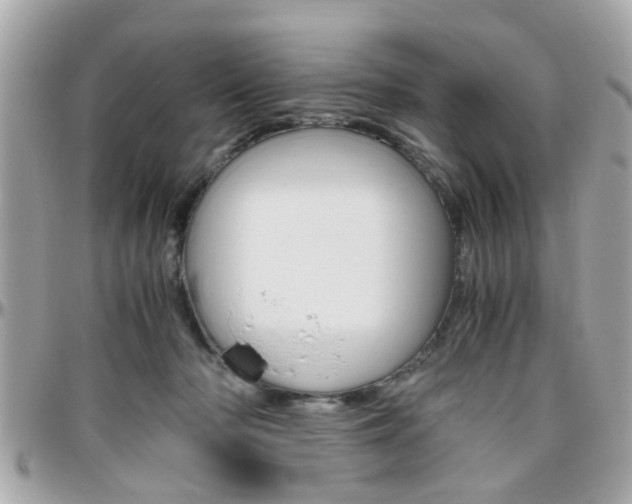 X0000096440318200801241123