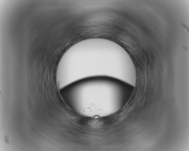 X0000096440319200801241123