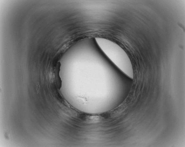 X0000096440324200801241123