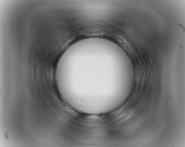 X0000096440326200801241123
