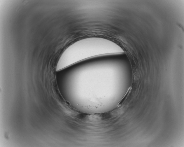 X0000096440327200801241123