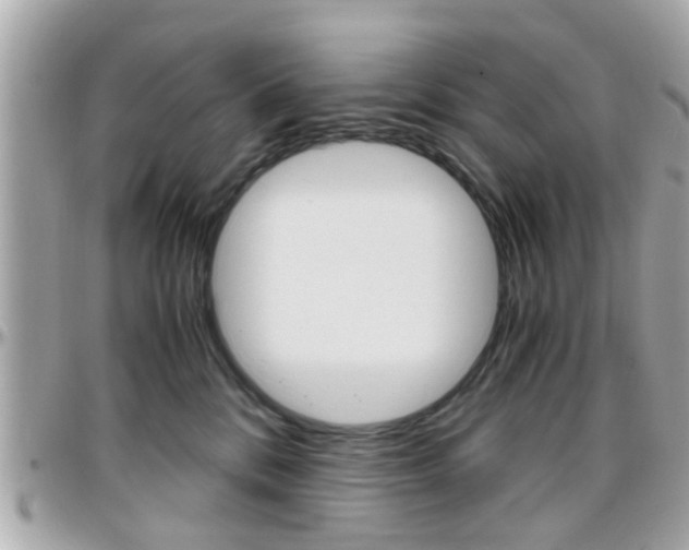X0000096440328200801241123