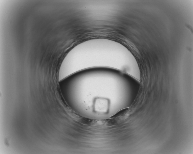 X0000096440329200801241123