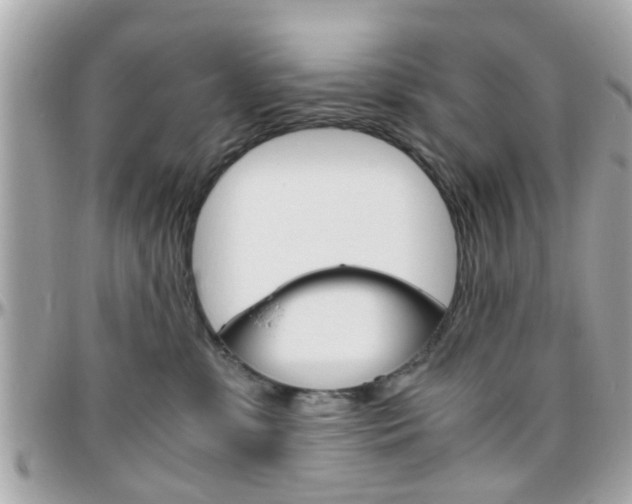 X0000096440331200801241123