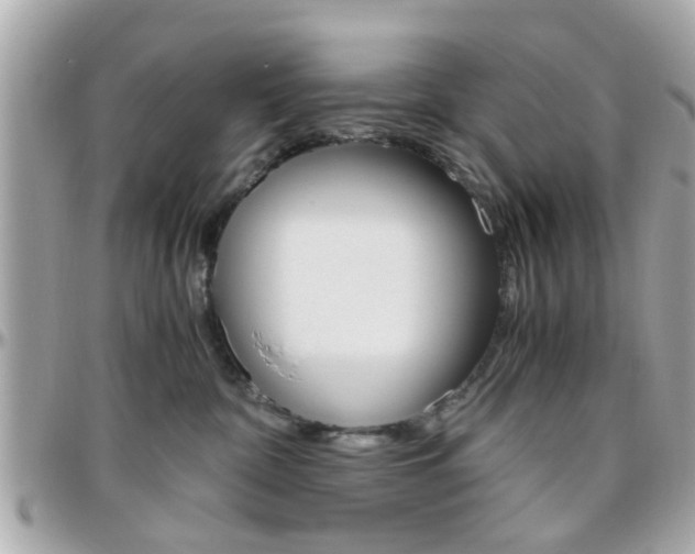 X0000096440332200801241123