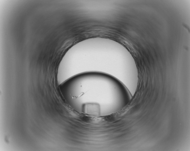 X0000096440333200801241123