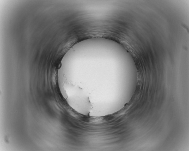 X0000096440334200801241123
