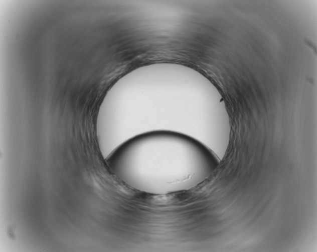 X0000096440335200801241123
