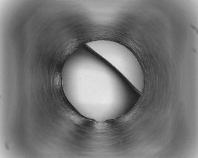 X0000096440336200801241123