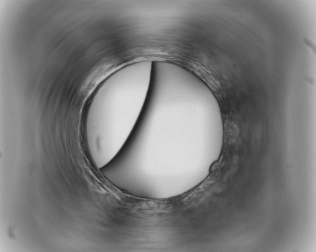 X0000096440338200801241123