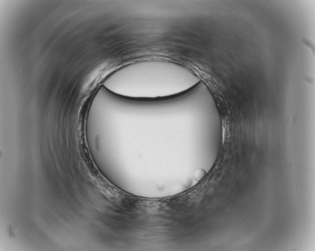 X0000096440339200801241123