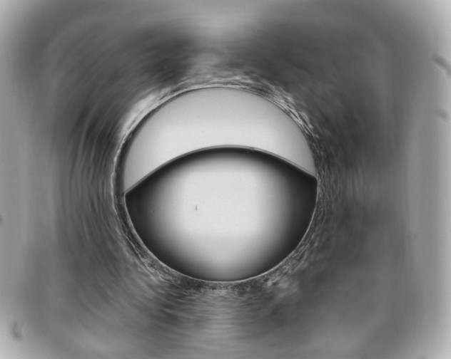 X0000096440340200801241123