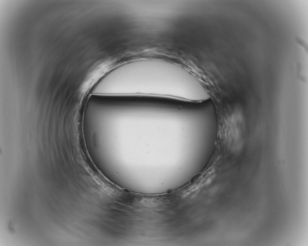 X0000096440341200801241123