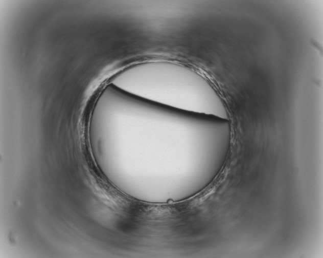 X0000096440343200801241123