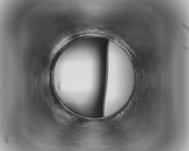 X0000096440344200801241123