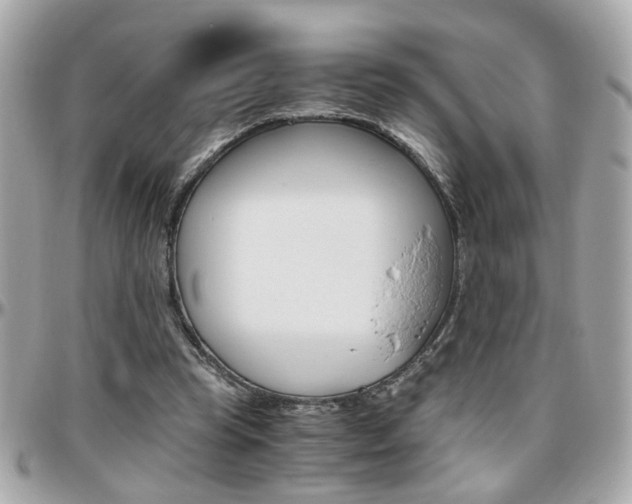X0000096440345200801241123