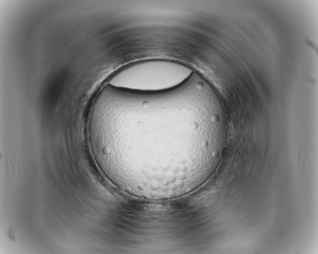 X0000096440347200801241123