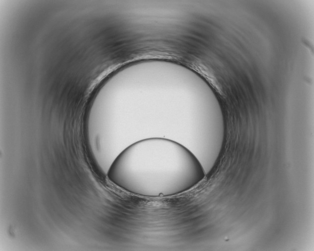 X0000096440348200801241123