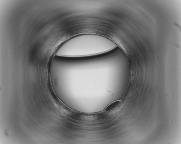 X0000096440349200801241123