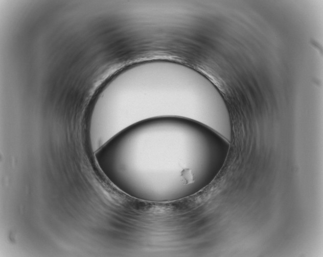 X0000096440350200801241123