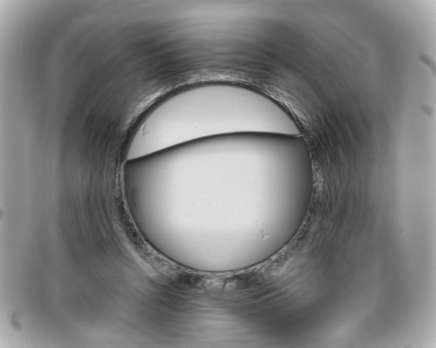 X0000096440352200801241123