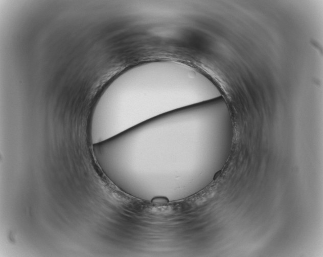 X0000096440353200801241123