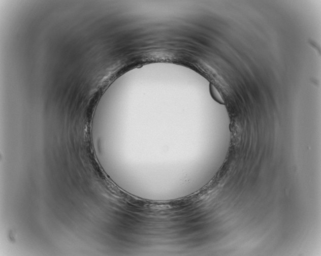 X0000096440355200801241123