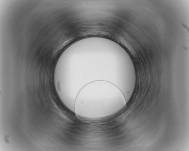 X0000096440356200801241123