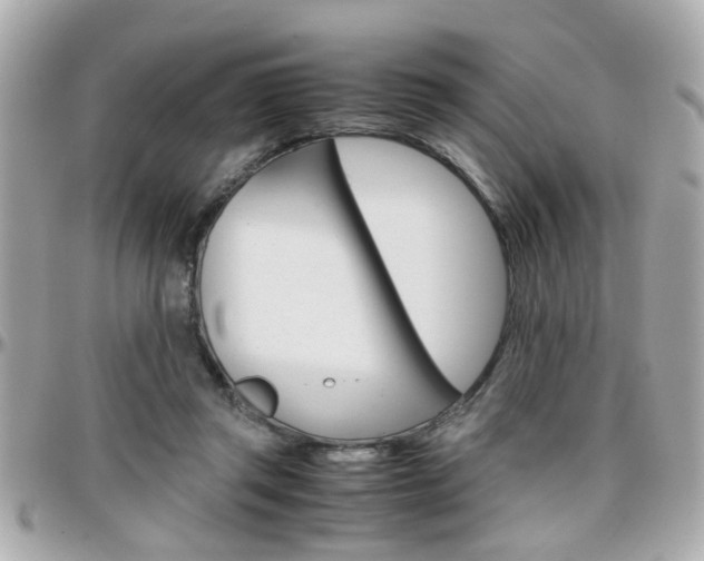 X0000096440357200801241123