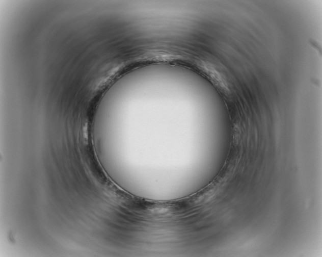 X0000096440358200801241123