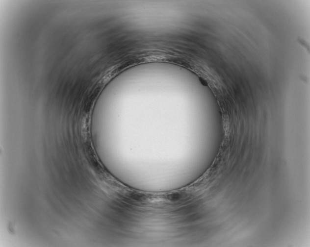 X0000096440360200801241123