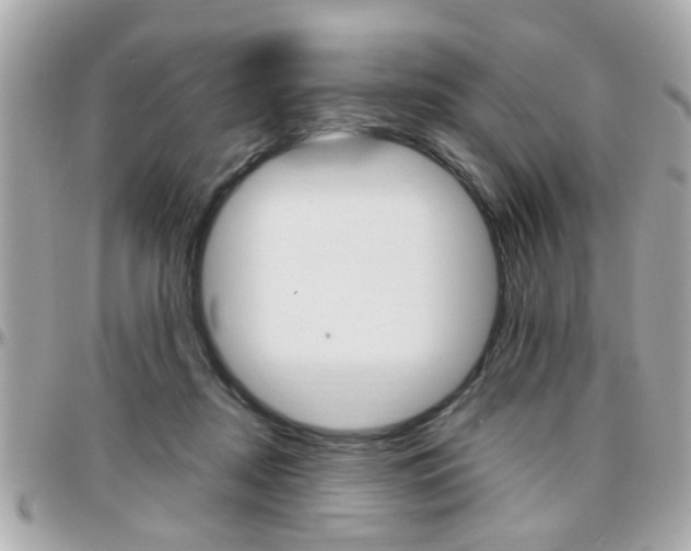 X0000096440362200801241123