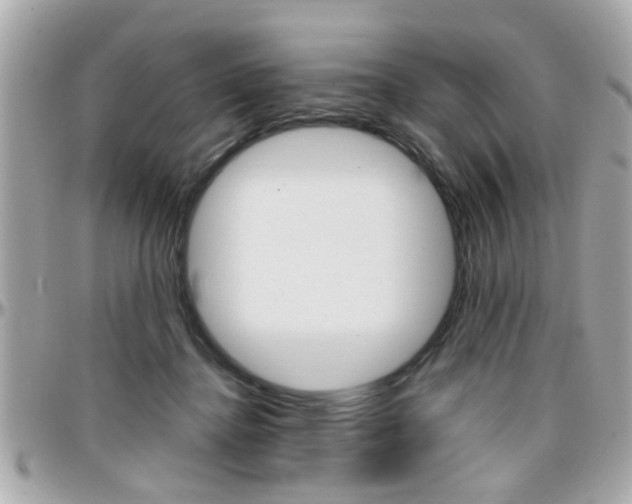 X0000096440364200801241123