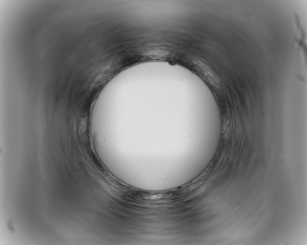 X0000096440365200801241123