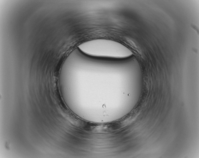 X0000096440366200801241123