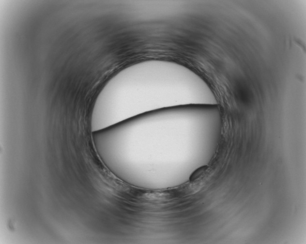 X0000096440367200801241123