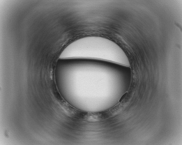 X0000096440368200801241123