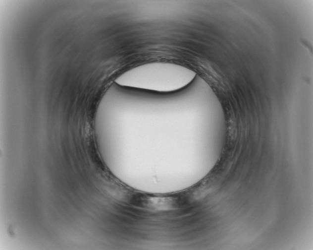 X0000096440371200801241123