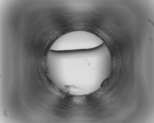 X0000096440373200801241123