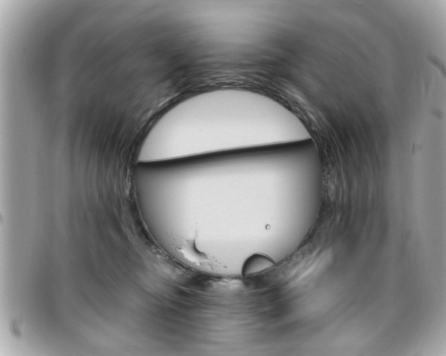 X0000096440374200801241123