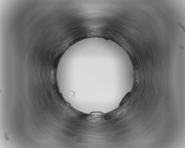 X0000096440378200801241123