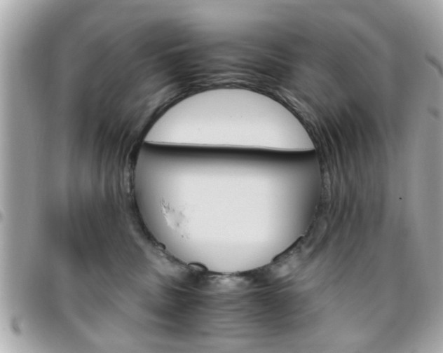 X0000096440379200801241123